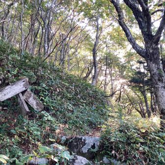 ぐんと登って