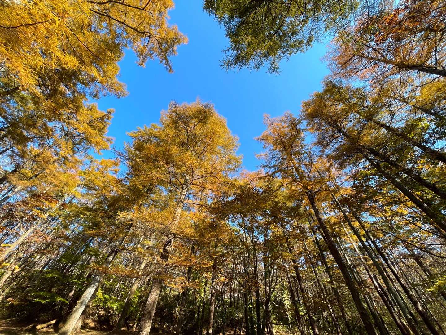ただただ素晴らしい。