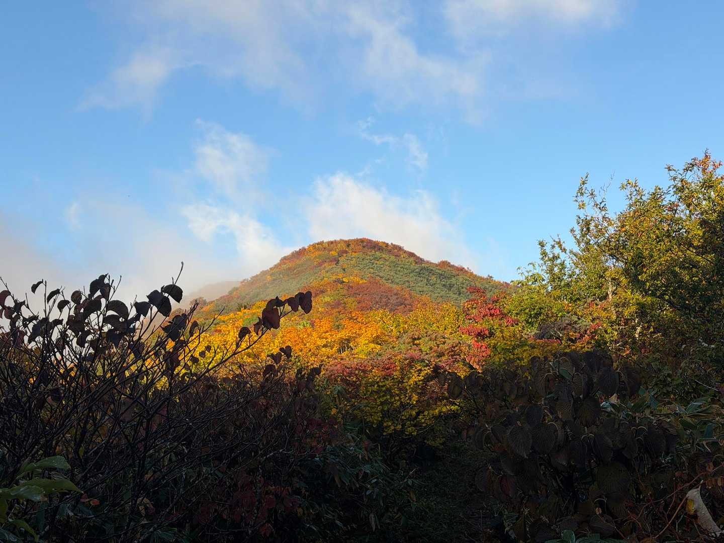 上は　紅葉🍁が
