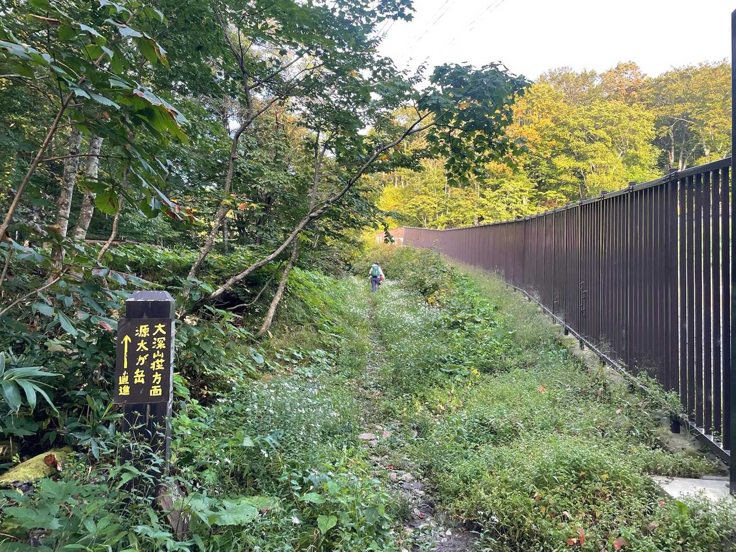 おしゃべりしてて、少しだけルート間違えた〜笑
こっちね！