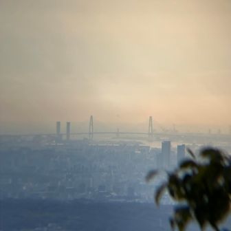 名港トリトンもzoom✨️