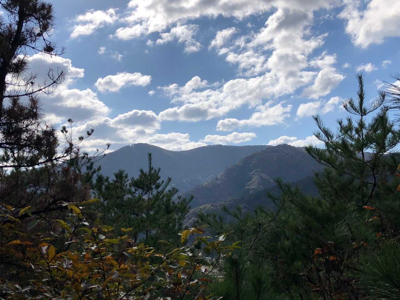 藤倉山・鍋倉山