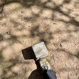 円山
今日唯一のピーク