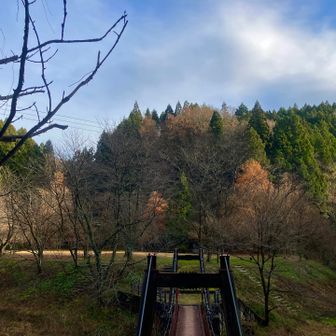 大沢森林公園🌲
