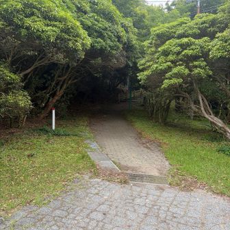 いざ鶴見岳へ🐾