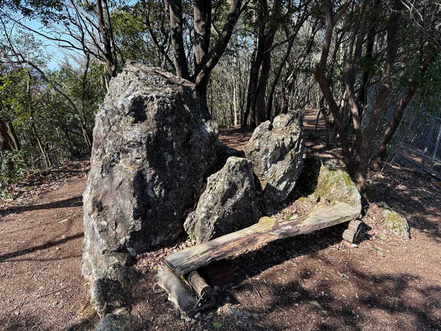 何やら大きな岩がありました🪨