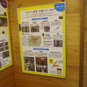 クマのことがいろいろ書いてあった。