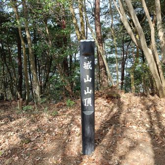 城山　美しいトレイルが続きます。