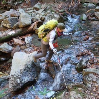 渡渉その1