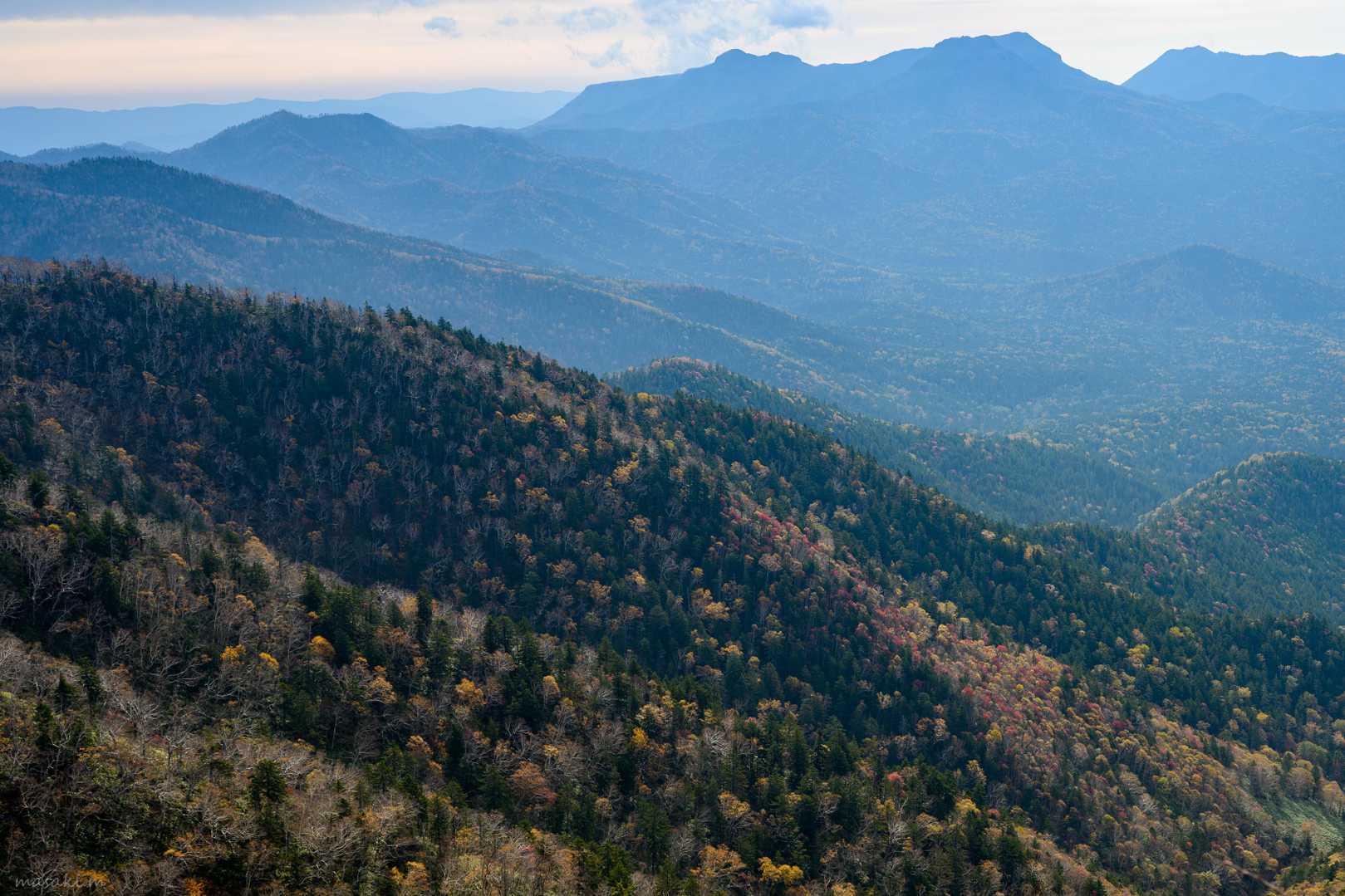 三国山 往復コースの写真