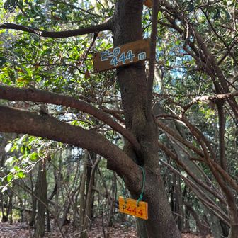 ここはYAMAPピークではありません😢