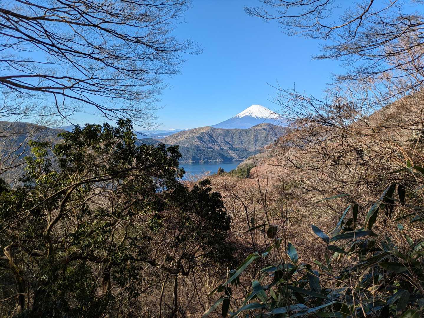 霜柱の道を登る途中から
富士山🗻と芦ノ湖
よく観えます。
雲ひとつない晴天に富士山🗻の白✨️
