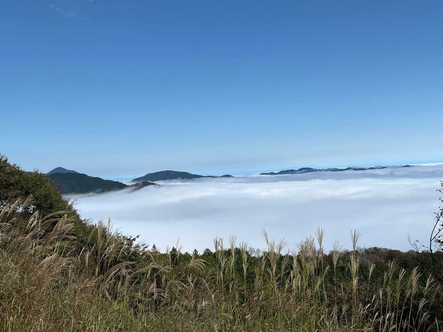 期待通りに雲海！
左端に武甲山が見えています
