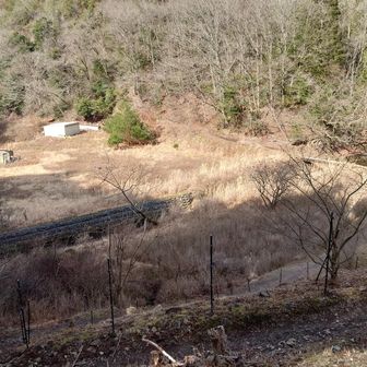 大原野森林公園の、森の案内所登山口から出発します