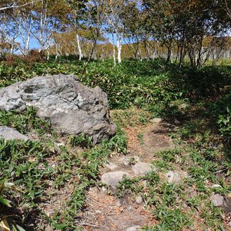 休み石で休憩
ツンツン、クチュクチュしながら
この感じなんだっけって思ってたら
思い出した🙄ｹﾝﾍﾞﾝ