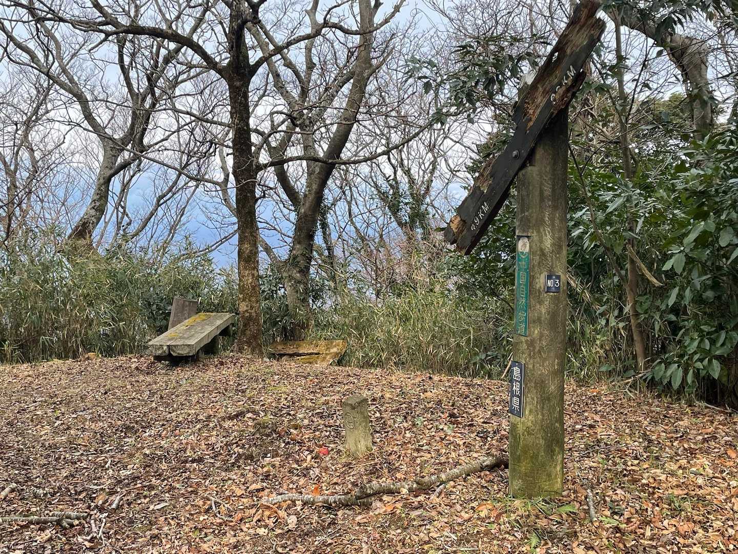 大平山 往復コースの写真