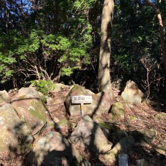 山頂は眺望なしです