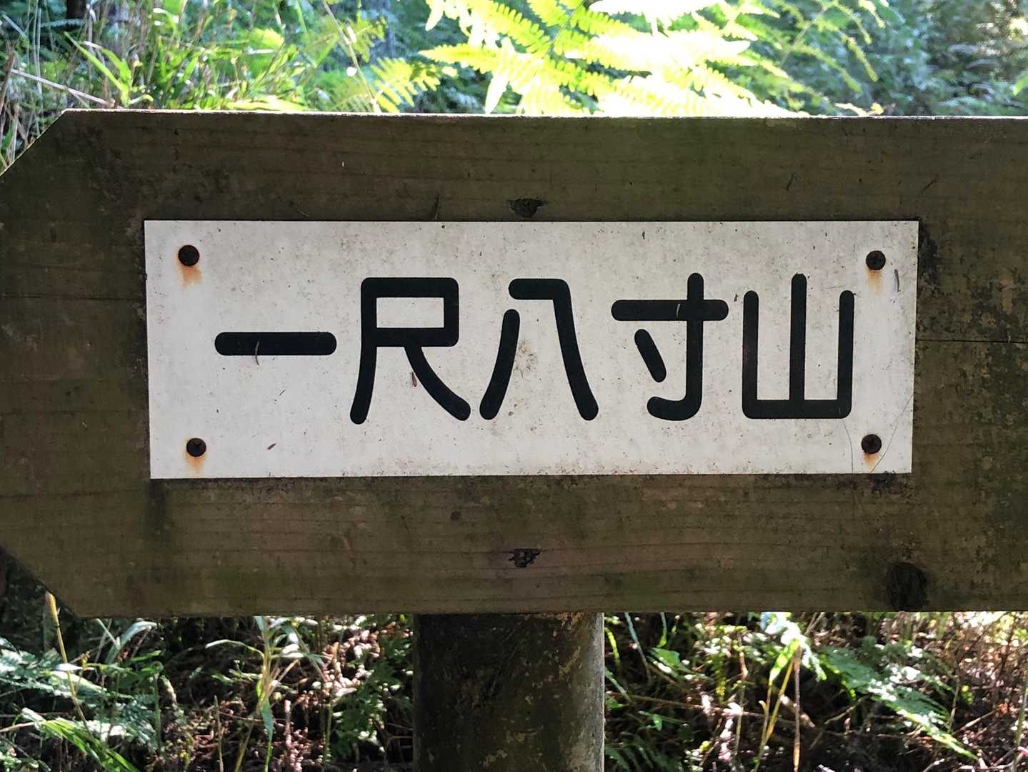 こんどはこちら