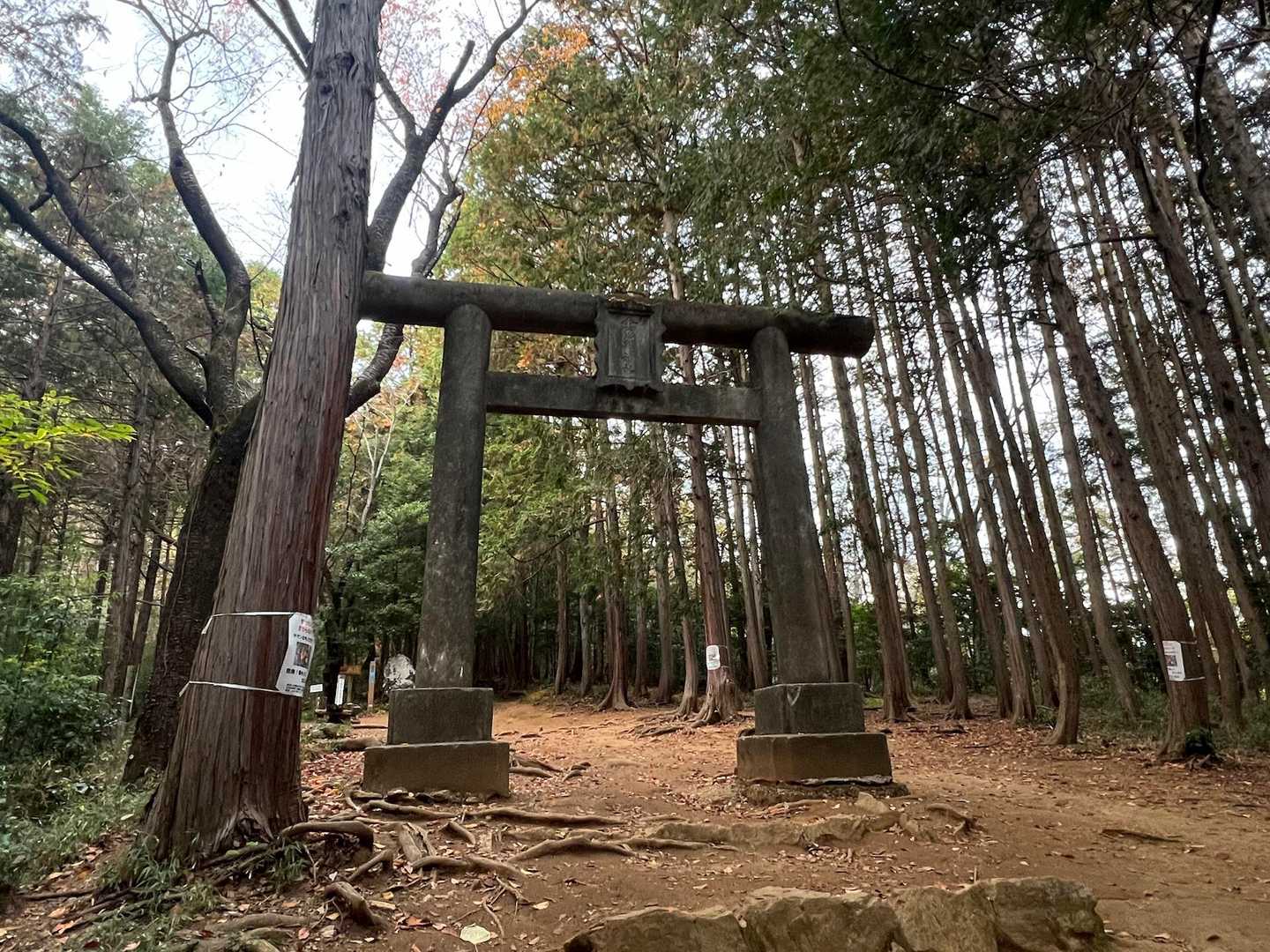 木々は少し色づいてるものも