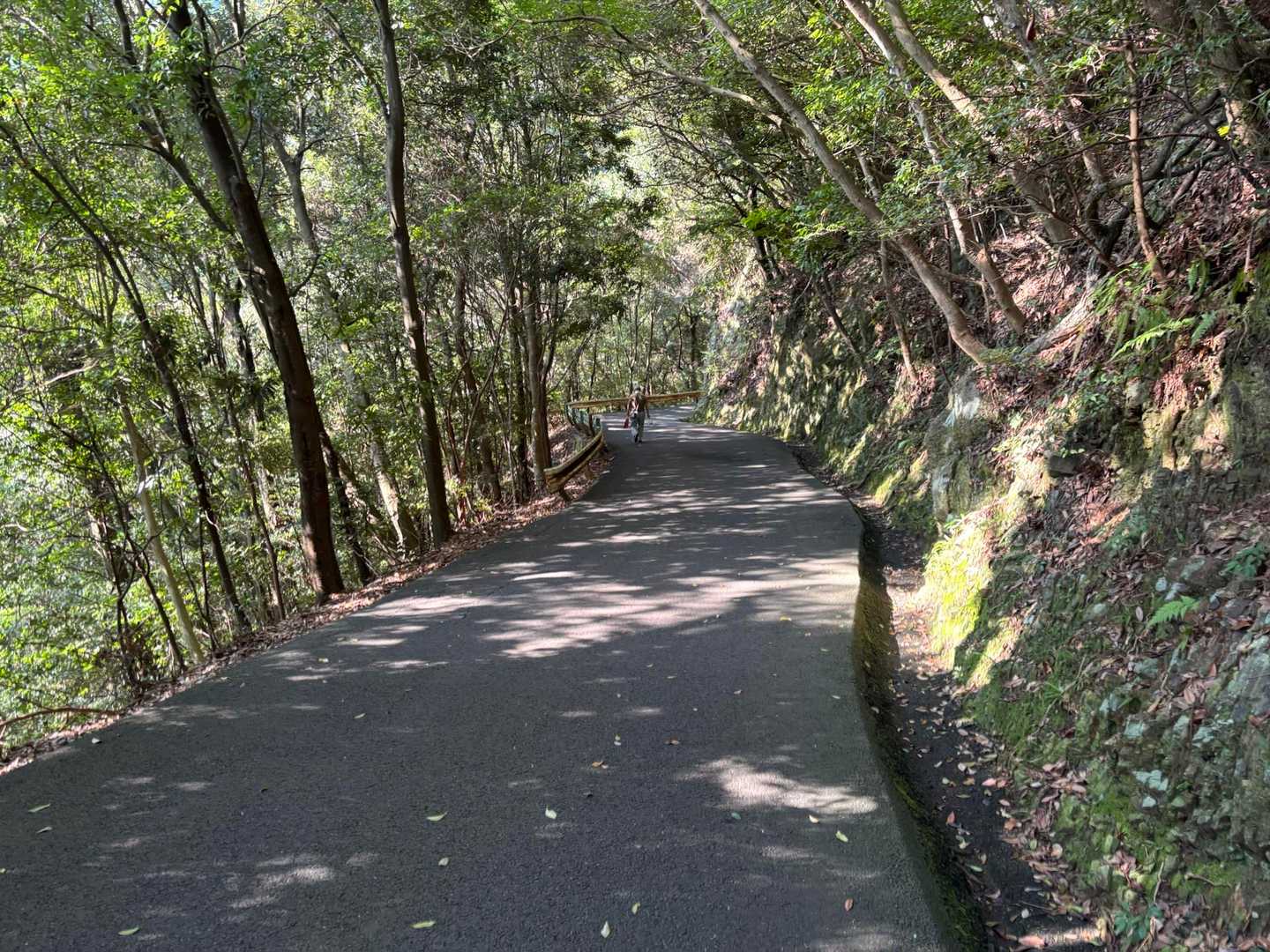 いつも綺麗です。
ありがたいですね。😄