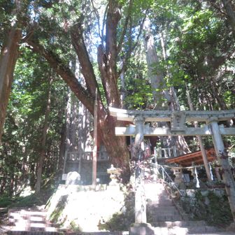 神坂神社
大きな木に囲まれていて厳かな雰囲気です