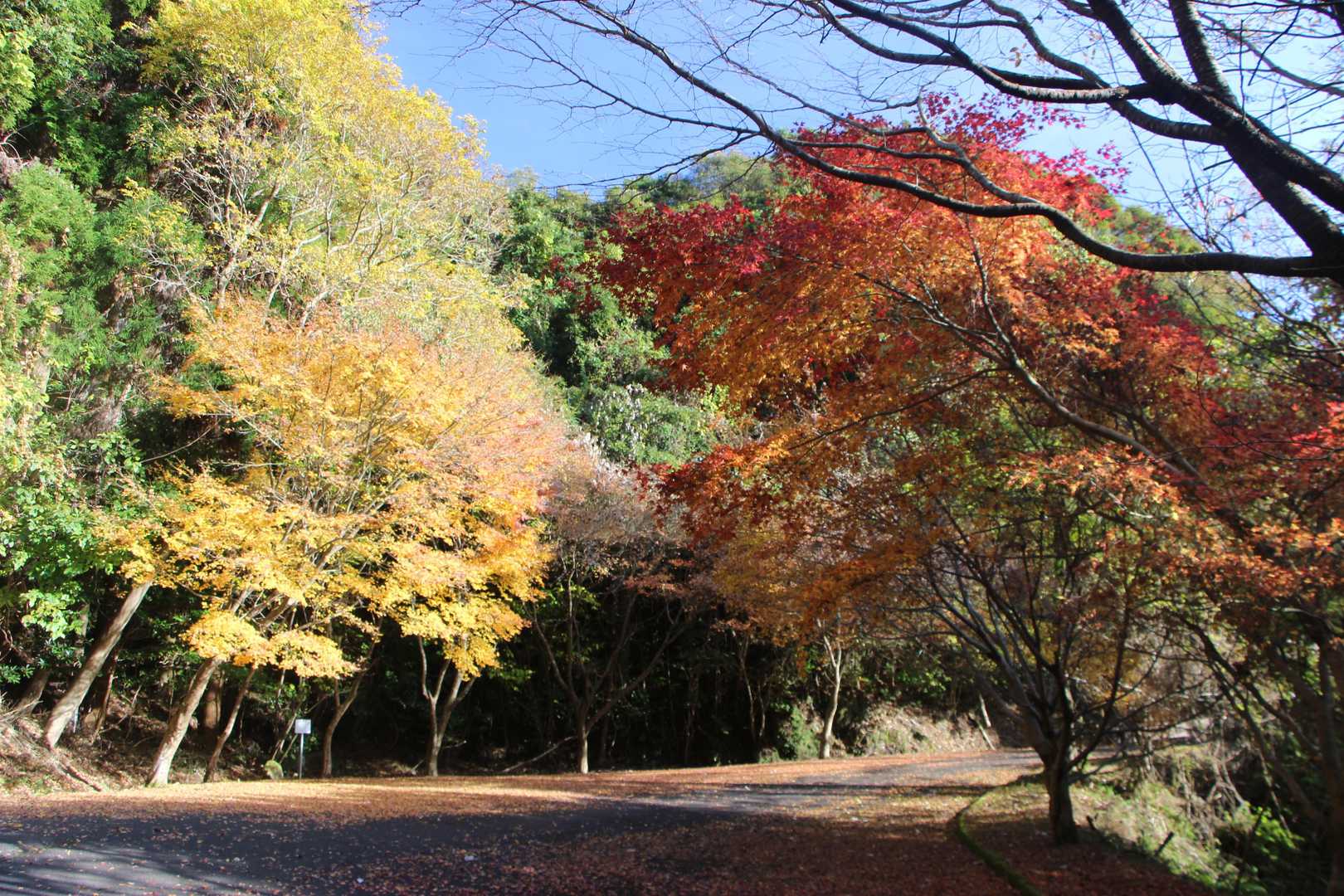 良いぞ