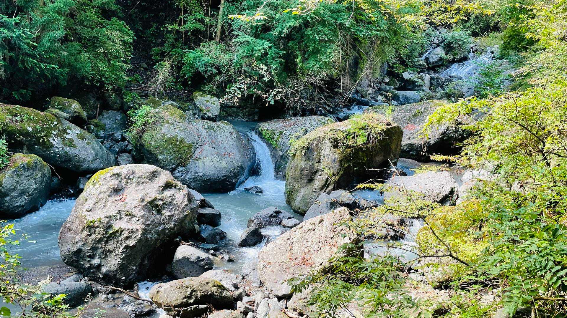 太陽に焼かれて踊りましょう
傷ついたら眠りましょう
傘がないと嘆く暇はない
雨に打たれ歌いましょう

さあ目を覚まして
遙か新天地へ