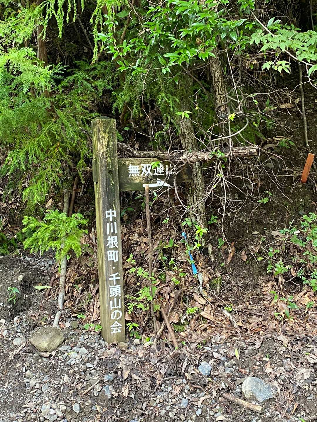 やっと登山口！山へ登れる❗️

京丸での無念を転じて生を拾う。
無想転生