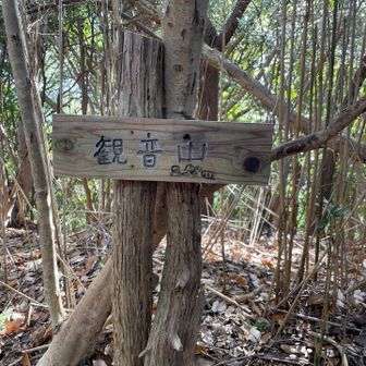 すぐに観音山ピーク