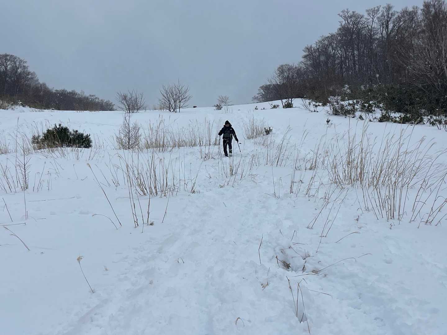 あんな青空だったのに真っ白け🤣
雪もチラホラ降ってきた。
