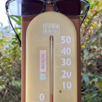 丸山は6℃

グラサンかけてたよ🕶️