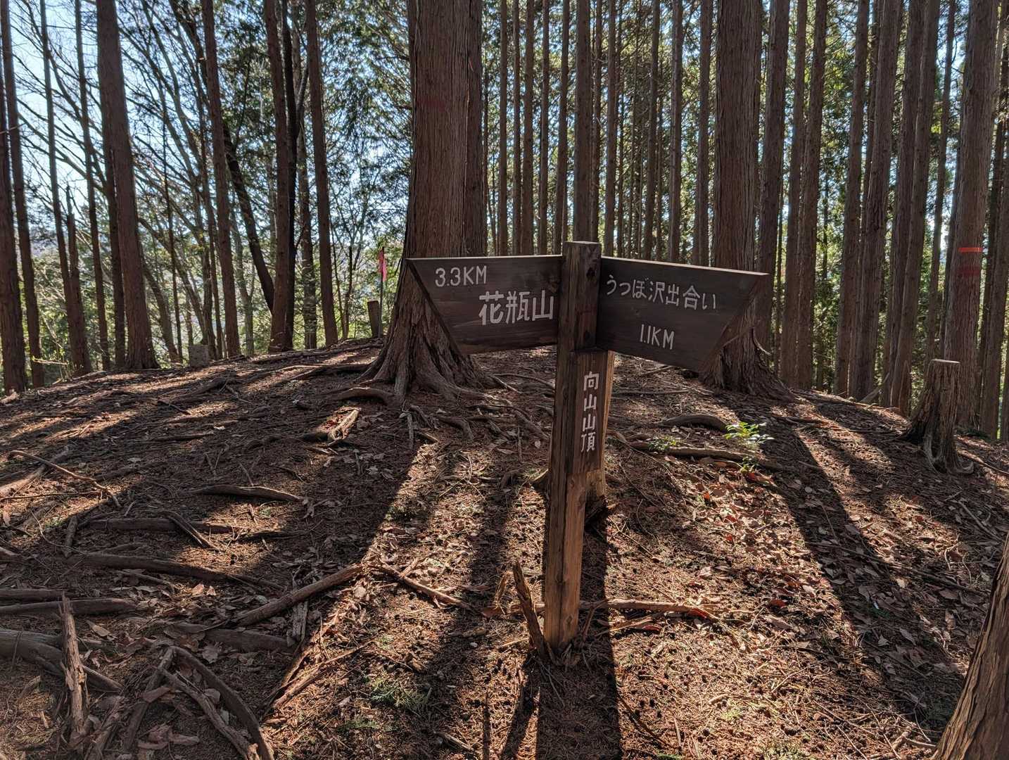 向山山頂に着きました🙋
ここからアップダウンのある尾根道を行きます🚶💨