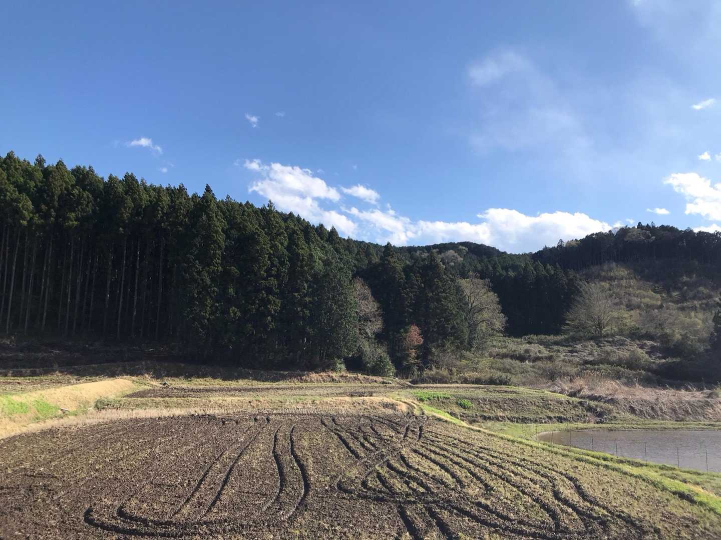 山並みが綺麗✨️