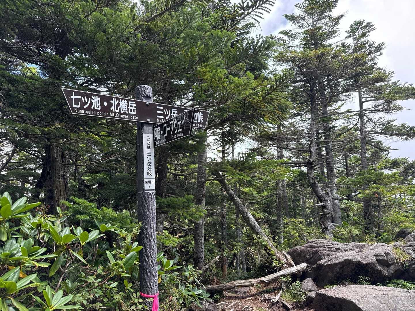 予定してなかった三ツ岳に行ってみます⬆️
岩が多いみたい🪨