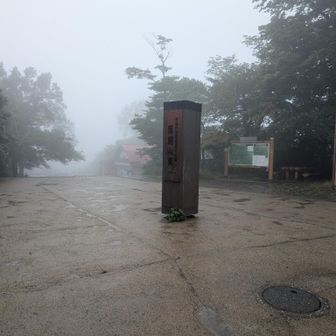 雨で静かな高尾山。