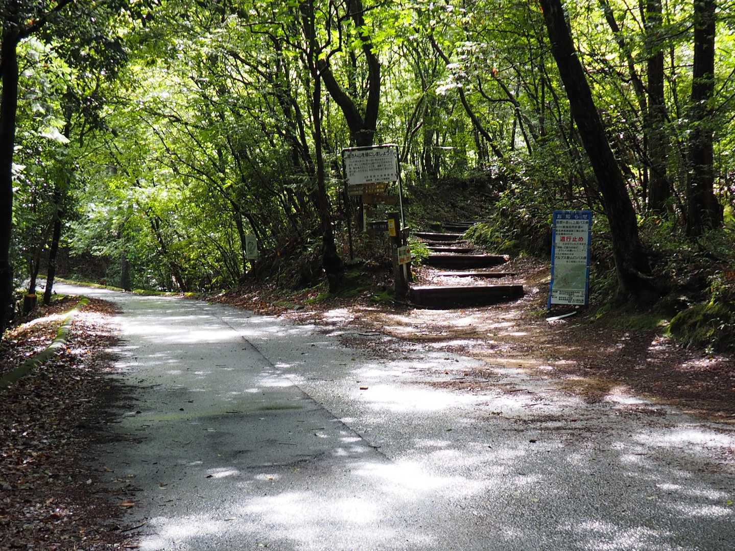 富川道登山口。