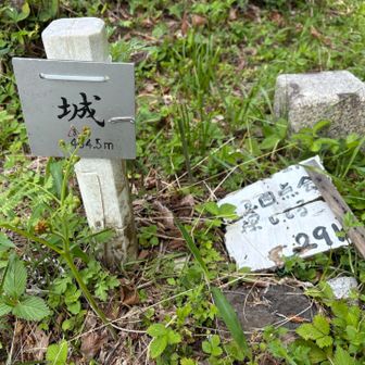 城(三峯山)