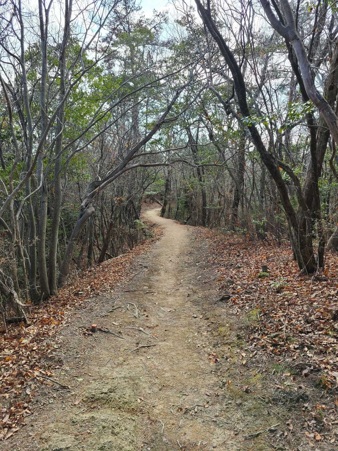 弥高山-廣峯神社 周回コースの写真