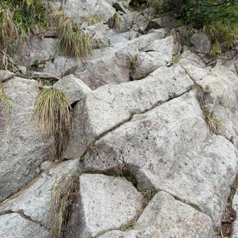 確かに。急斜度。