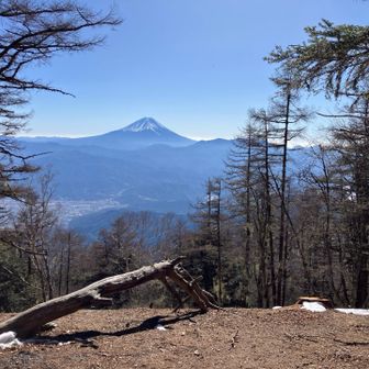 櫛形山山頂から
富士山
逆光が収まってきた、展望台からここはピストンなので帰りが楽しみ😊