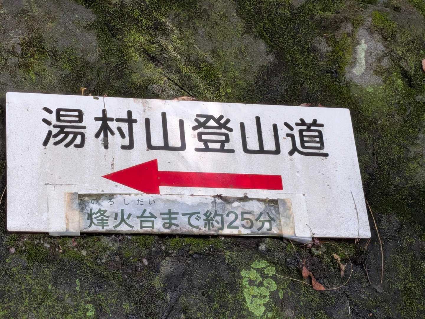 少し歩くと、登山道の看板が有りました♫🪧