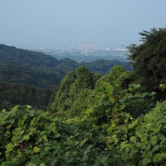 長洲の造船所