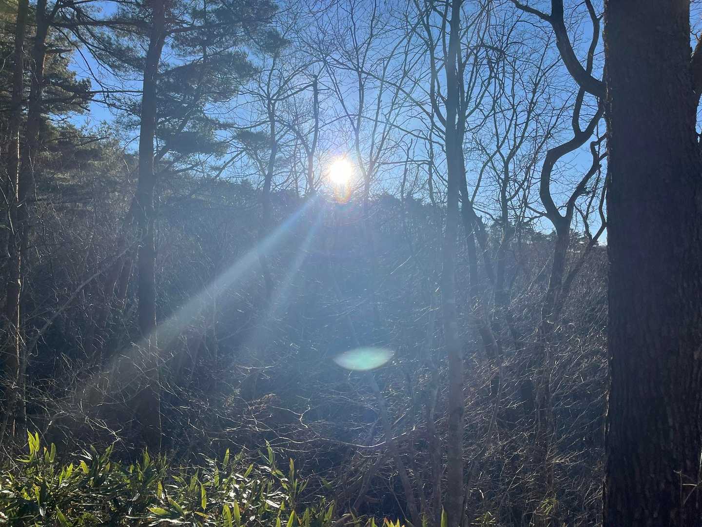 鹿狼山7座縦走コースの写真