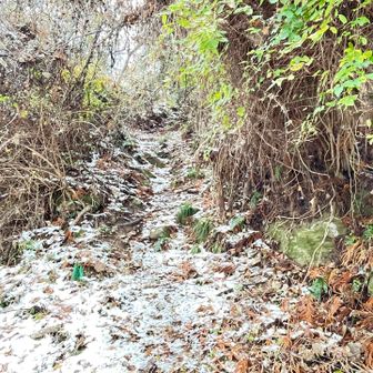 積雪が現れ始めた