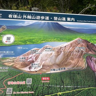 こんな感じの遊歩道