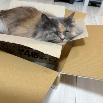 マオセロ