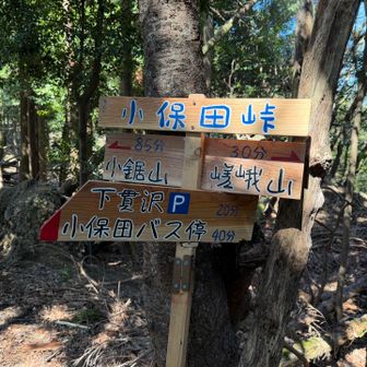 手作り看板、壊れて倒れておりました。