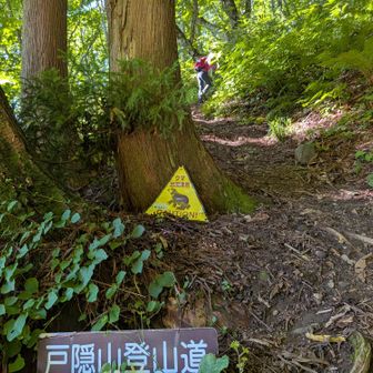 此処から戸隠山登山道が、始まります🚶