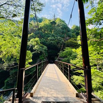 歩くと揺れる高所恐怖症殺しの橋