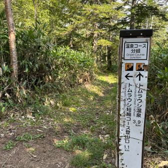 次は短縮使わずに温泉から行く。